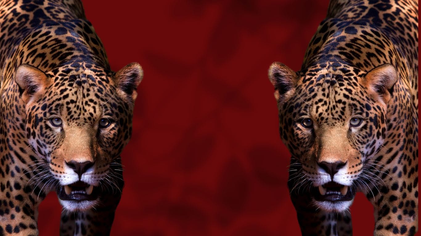 Why Luxury Escort Stereotypes Kill Your Brand